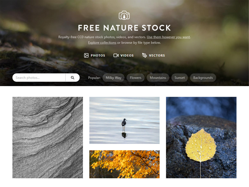 Free Nature Stock
