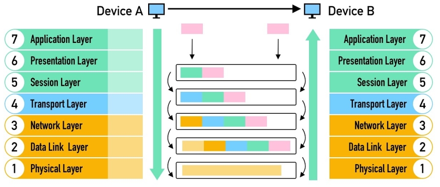 图解 OSI 七层模型，2024最强科普