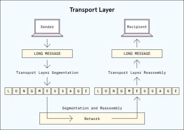 图解 OSI 七层模型，2024最强科普