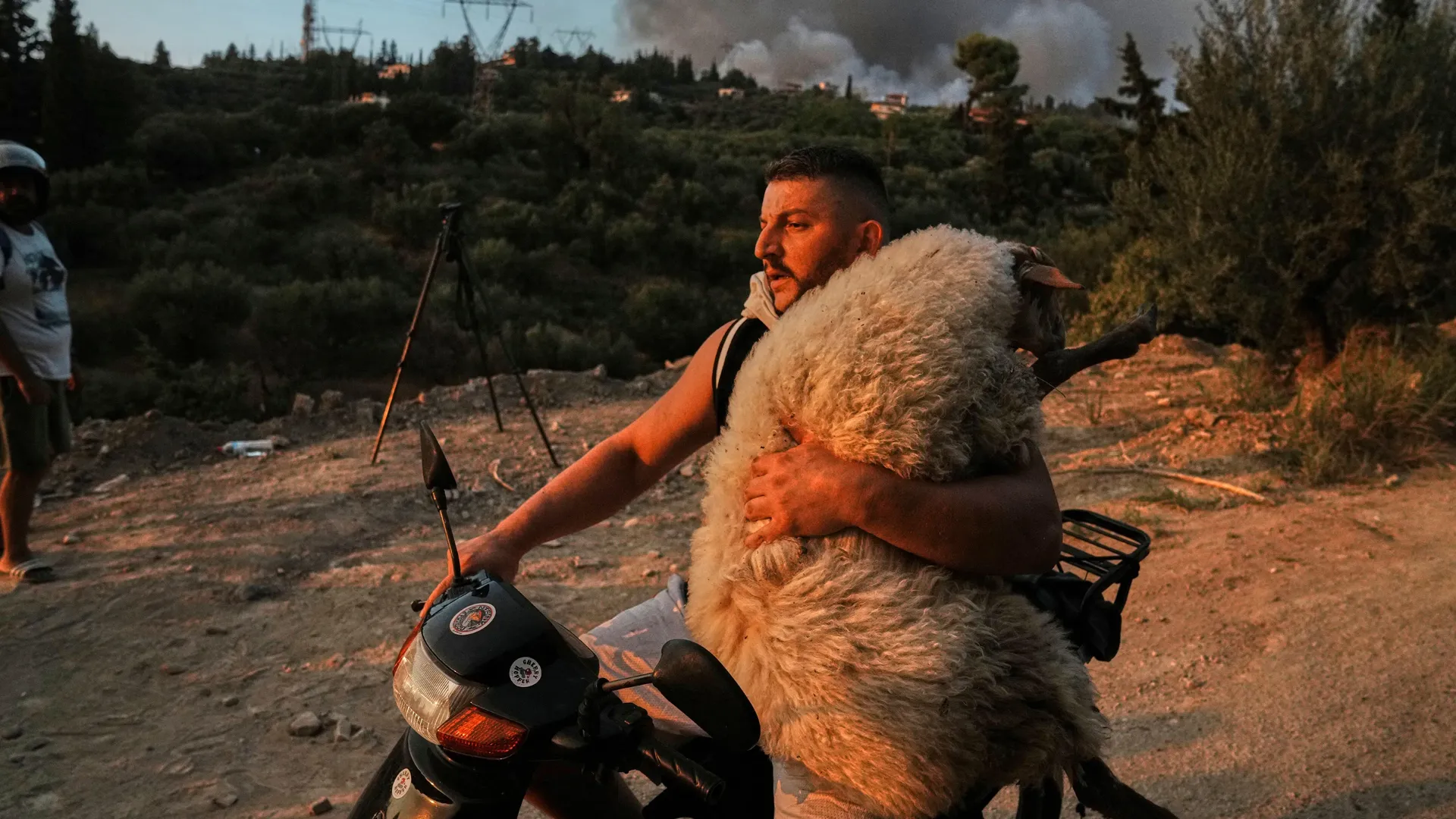 《自然》杂志评选的一组2025年最佳科学图片