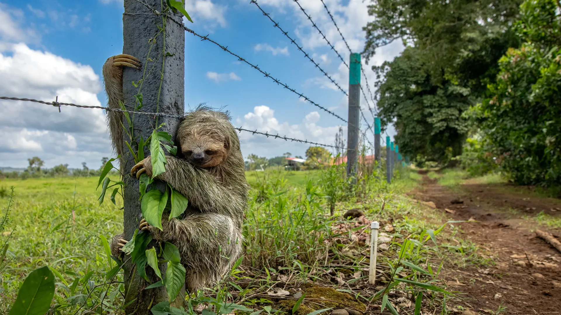 《自然》杂志评选的一组2025年最佳科学图片