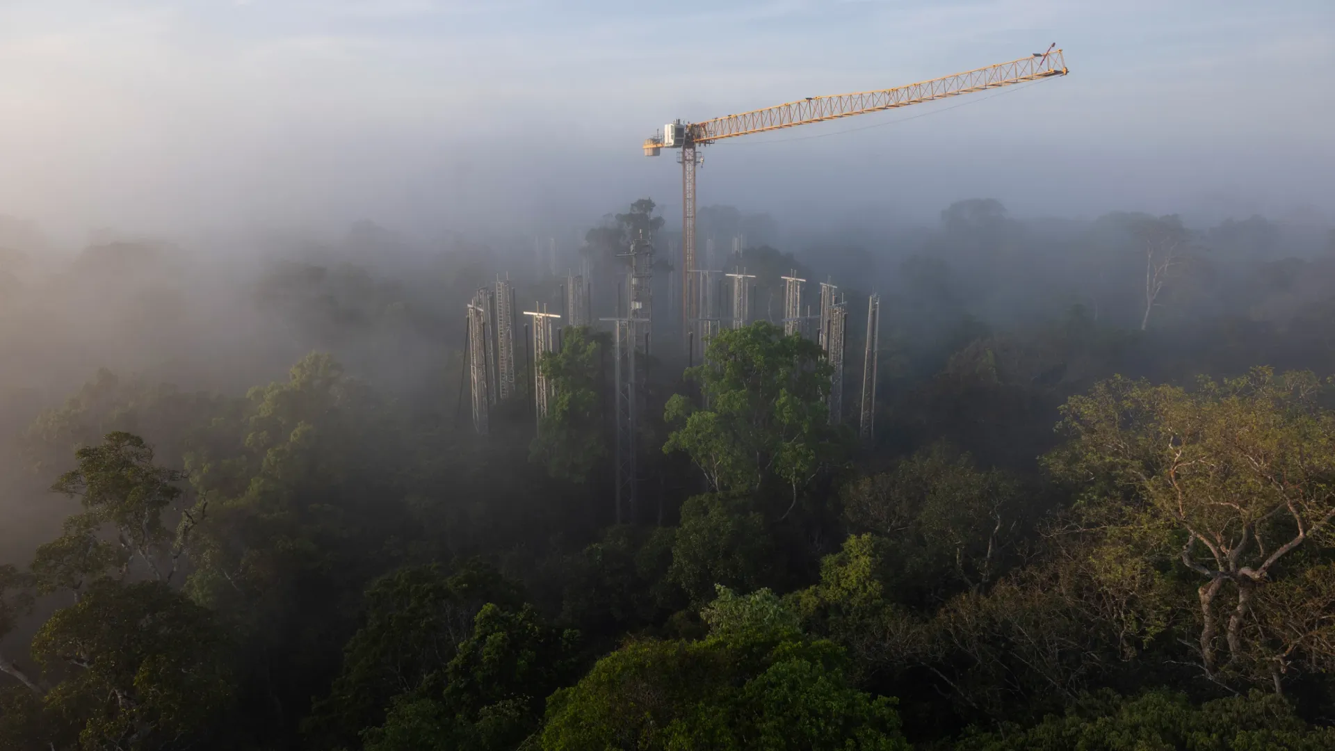 《自然》杂志评选的一组2025年最佳科学图片