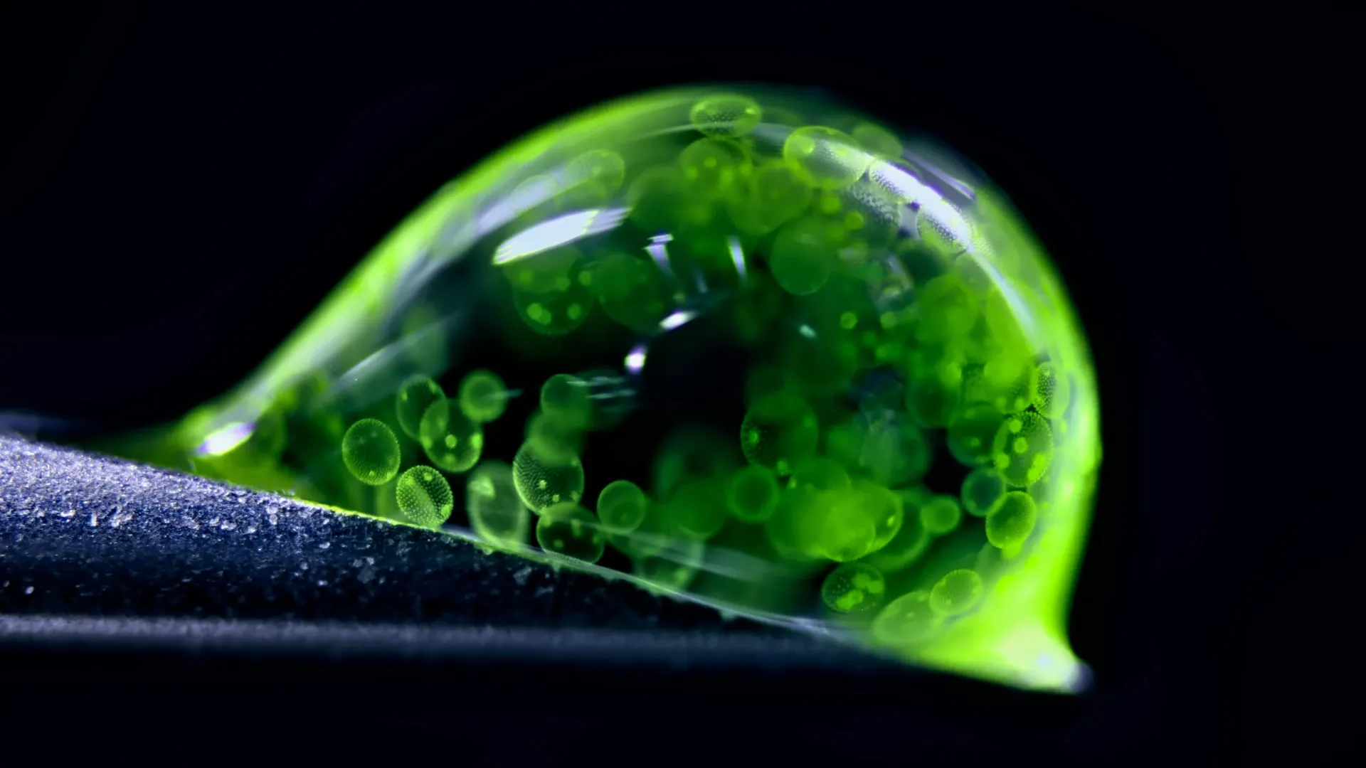 《自然》杂志评选的一组2025年最佳科学图片