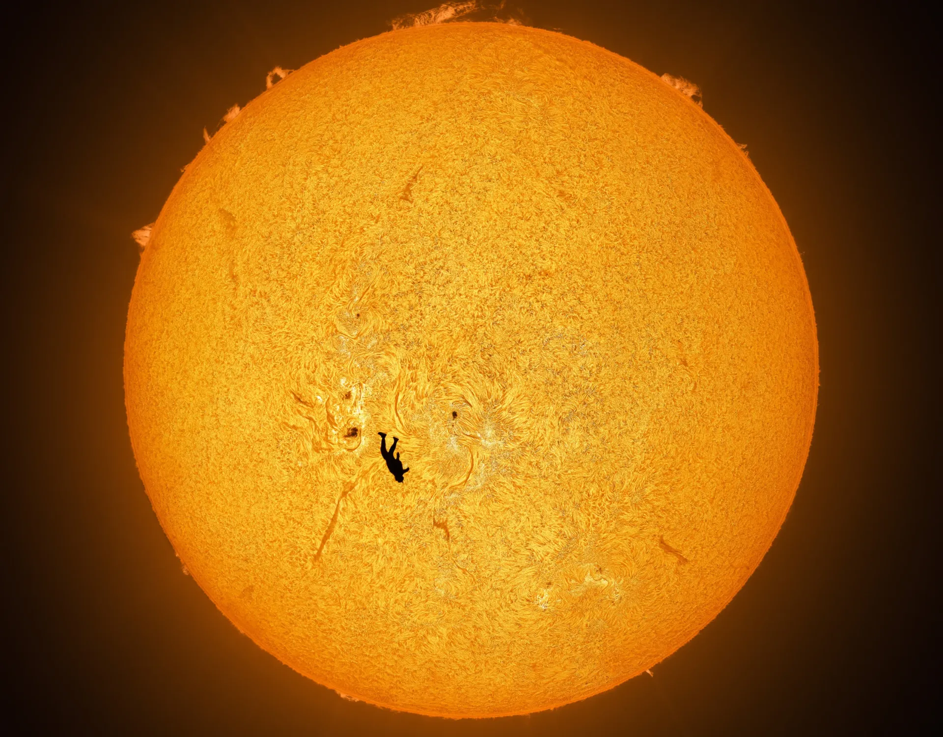 《自然》杂志评选的一组2025年最佳科学图片